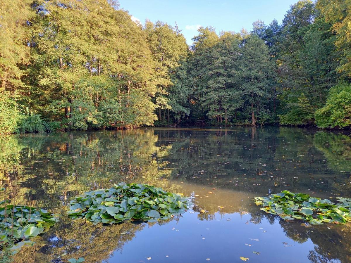 Ferienwohnung Am Waldsee Mit Schwimmbad Ґернсбах Екстер'єр фото